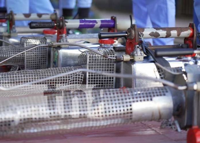 roden-11 Foto: Plan de desratización en colegios de Nicaragua / TN8