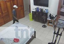 A lo «Pantera Rosa» se metió a robar una casa en Matagalpa (VIDEO) Foto: Se metió a robar a una vivienda en Matagalpa / TN8