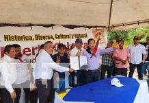Nuevo capítulo en el Caribe: Inicia construcción de tramo para conectar Sahsa y Bilwi Foto: Construcción de tramo que une Sahsa y Bilwi, en el Caribe de Nicaragua / TN8