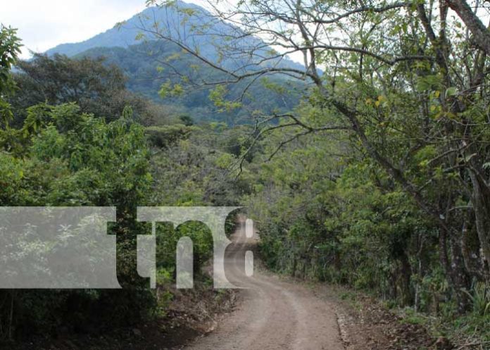 somo-2 Foto: Nuevos caminos rurales en Somoto / TN8