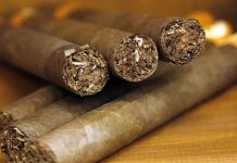 ¿Cómo Nicaragua ha logrado ser top mundial en el tabaco? Foto: Producción de tabaco en Nicaragua
