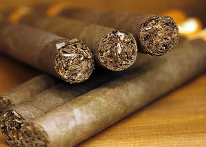 Foto: Producción de tabaco en Nicaragua