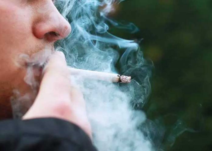 tabaco2 Consumo de tabaco cae en casi todo el mundo, dice OMS