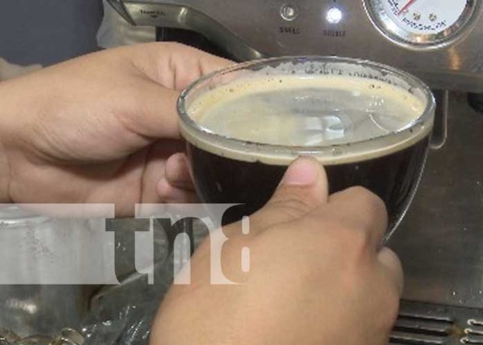 Foto: Coffee Galpa, nueva cafetería en el Mercado Roberto Huembes / TN8