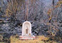 Estatua de una Virgen quedó intacta tras incendio forestal