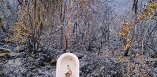 Estatua de una Virgen quedó intacta tras incendio forestal