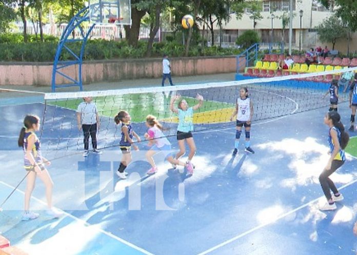volei-1 Foto: Voleibol en Managua / TN8