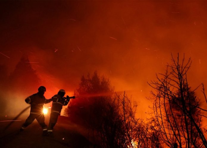 1 Número de muertos por incendios en Chile se eleva a 112