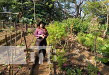 Conoce Frutesol, una finca ecoturística en la carretera Masaya a Catarina Foto: Conoce FRUTESOL, una finca ecoturística en la carretera Masaya a Catarina / TN8