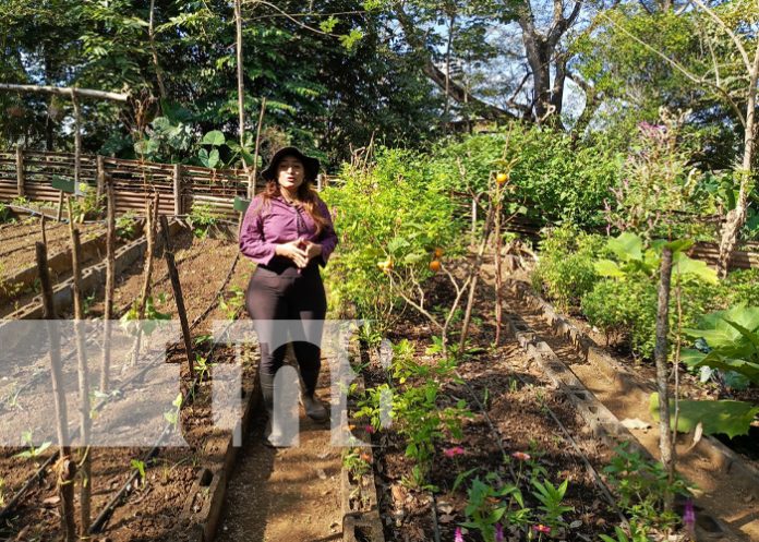 Foto: Conoce FRUTESOL, una finca ecoturística en la carretera Masaya a Catarina / TN8
