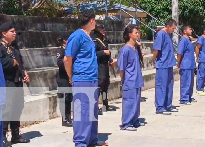 Resultado del trabajo policial 2024