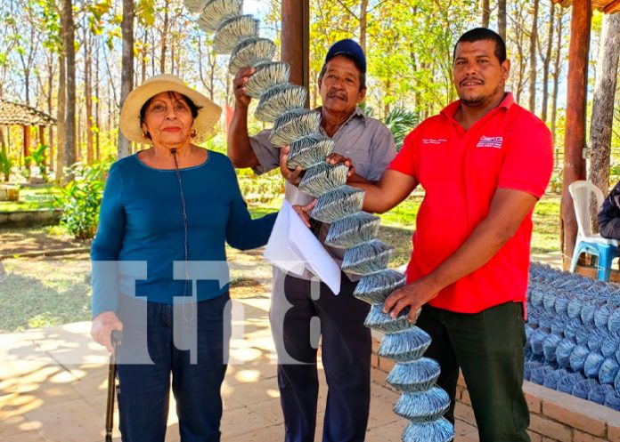 Bonos a más de 100 protagonistas en granada