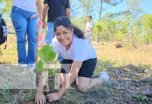 Campaña “Verde que te quiero verde” producirá más de 1 millón de plantas en el Caribe Norte Foto: Campaña “Verde que te quiero verde” producirá más de 1 millón de plantas en el Caribe Norte/TN8