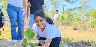 Foto: Campaña “Verde que te quiero verde” producirá más de 1 millón de plantas en el Caribe Norte/TN8