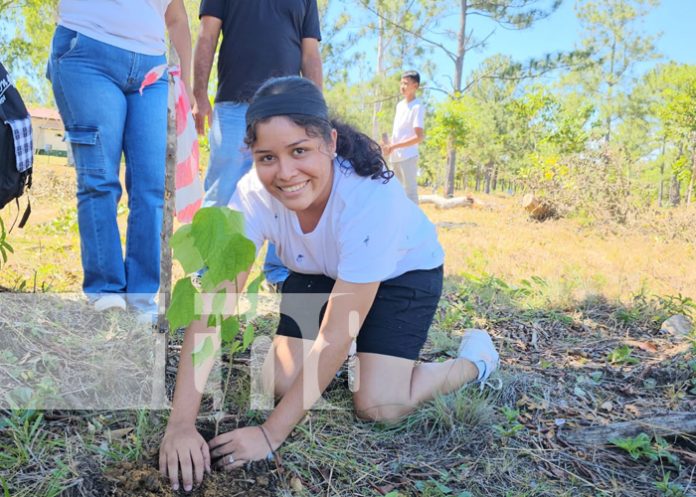 1 Foto: Campaña “Verde que te quiero verde” producirá más de 1 millón de plantas en el Caribe Norte/TN8