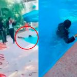 Mi primera chamba: Mariachi cae a la piscina durante la serenata Mariachi cae a la piscina durante la serenata y el video causa sensación