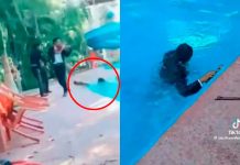 Mi primera chamba: Mariachi cae a la piscina durante la serenata Mariachi cae a la piscina durante la serenata y el video causa sensación
