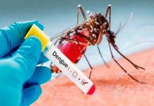 Nicaragua presenta menos contagios en Dengue, Neumonía y Leptospirosis