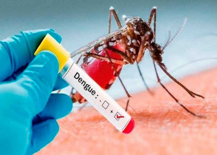 Nicaragua presenta menos contagios en Dengue, Neumonía y Leptospirosis