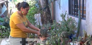 Nandaime se destaca en la comercialización de plantas exóticas