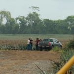 Foto: ¡Misterioso crimen! Encuentran un cuerpo sin vida en una Piñera de Costa Rica/Cortesía