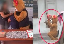 Foto: Ingeniosa idea de peluche resulta positiva /cortesía