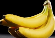 Rusia detecta la presencia de moscas jorobadas en bananas importadas de Ecuador Foto: Rusia detecta la presencia de moscas jorobadas en bananas importadas de Ecuador/Tn8