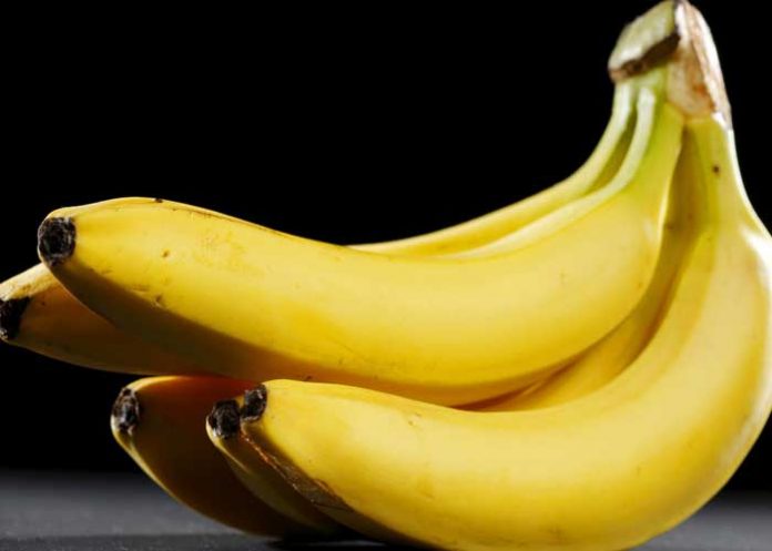Foto: Rusia detecta la presencia de moscas jorobadas en bananas importadas de Ecuador/Tn8