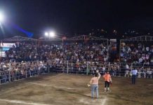 ¡Todo un éxito! Finaliza Feria Ganadera, Matagalpa 2024