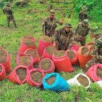 El Ejército de Nicaragua desmantela red delictiva en Siuna Foto: El Ejército de Nicaragua desmantela red delictiva en Siuna/E N