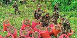 Foto: El Ejército de Nicaragua desmantela red delictiva en Siuna/E N