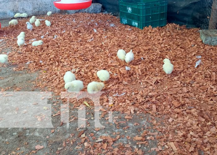 Foto: MEFCCA acompaña inauguración del emprendimiento