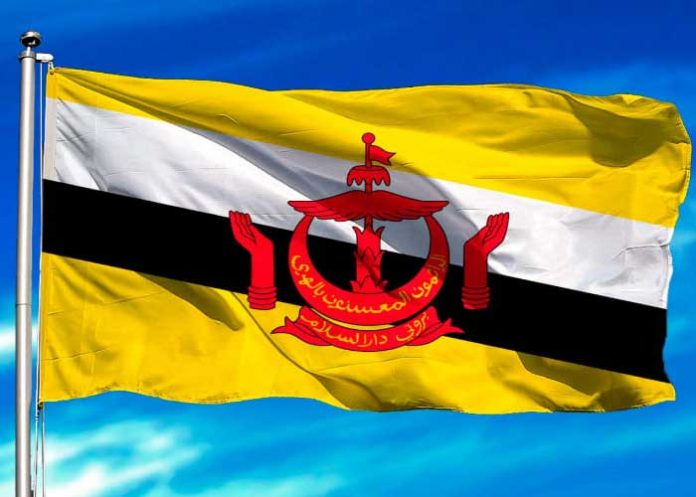 1 Foto:Nicaragua saluda el 40 Aniversario de la Independencia del Estado de Brunéi Darussalam/Cortesía