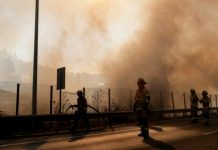 Foto: Asciende a 51 el número de muertos por los incendios forestales en Chile/Cortesía