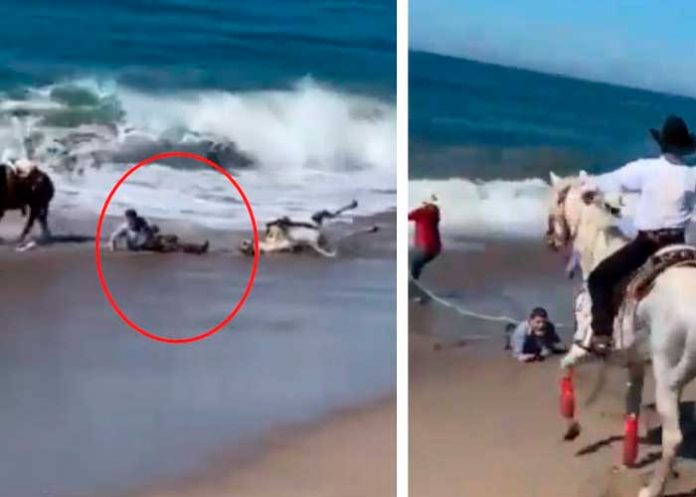 Caballos y sus jinetes por poco se ahogan arrastrados por el mar (Video)