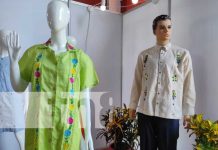 Granada celebra 500 años de su fundación con el I Festival Guayabero 2024 Foto: Granada celebra 500 años de su fundación con el I Festival Guayabero 2024 / TN8