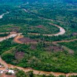 La peligrosa selva el Darién para llegar a EE. UU.