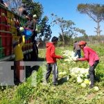 La preciada fruta del verano se inicia a comercializar en Nandaime La preciada fruta del verano se inicia a comercializar en Nandaime