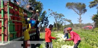 La preciada fruta del verano se inicia a comercializar en Nandaime
