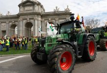 Agricultores ocupan Madrid por cuarta semana consecutiva Foto: Agricultores exigen medidas /cortesía
