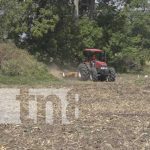 INTA en Rivas impulsa producción masiva de maíz y sorgo para garantizar suministro nacional INTA en Rivas impulsa producción masiva de maíz y sorgo para garantizar suministro nacional