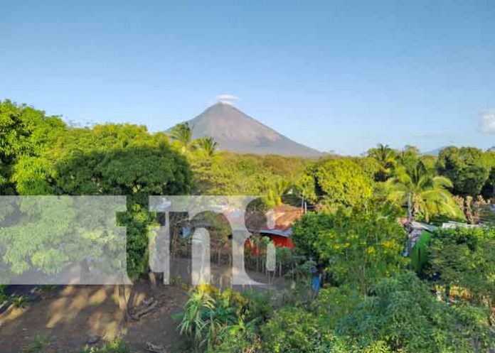 Foto: Fincas Verdes: Una apuesta por el turismo sostenible en Altagracia, Ometepe/TN8
