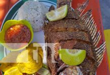 Descubre el sabor único de la Mojarra frita en la Isla de Ometepe Foto: Descubre el sabor único de la Mojarra frita en la Isla de Ometepe/TN8