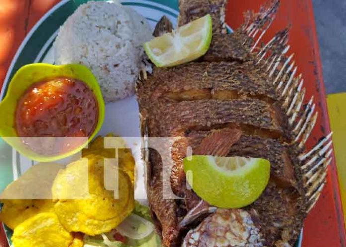 1 Foto: Descubre el sabor único de la Mojarra frita en la Isla de Ometepe/TN8