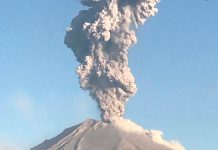 Foto: ¡Alerta en México! /cortesía