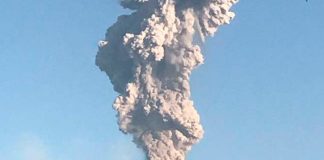 Foto: ¡Alerta en México! /cortesía
