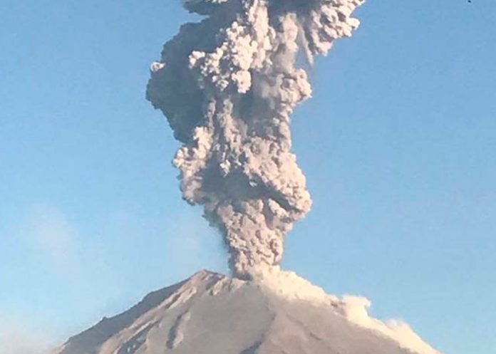 Foto: ¡Alerta en México! /cortesía