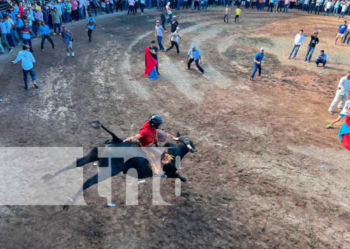2 Pierde la vida al ser embestido por un toro fuera de control en Acoyapa, Chontales