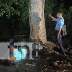 Foto: Trágico accidente en Chinandega: Motociclista fallece tras estrellarse contra un árbol/TN8
