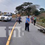 Choque de motos deja un fallecido en Wiwilí, Nueva Segovia Foto: Choque de motos deja un fallecido en Wiwilí, Nueva Segovia / TN8